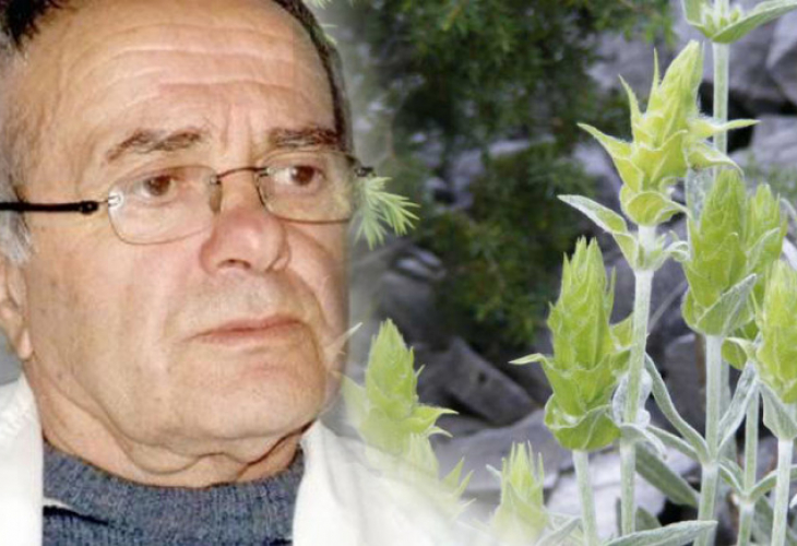 Д-р Анатоли Аликовски изброи чудесата на мурсалския чай
