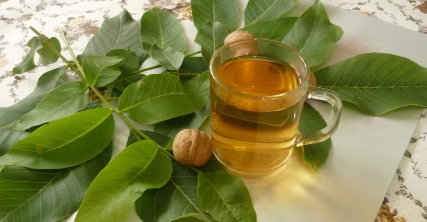 Българка откри лек с ракия, който лекува диабета завинаги!