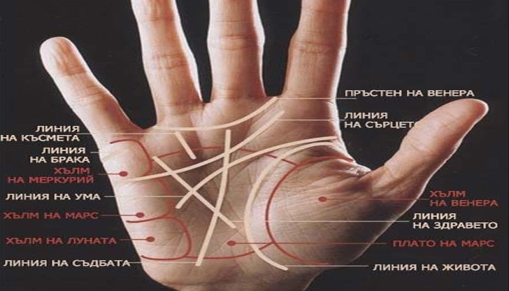 Разбери каква жена си, според линия на ръката – много вярно и полезно!