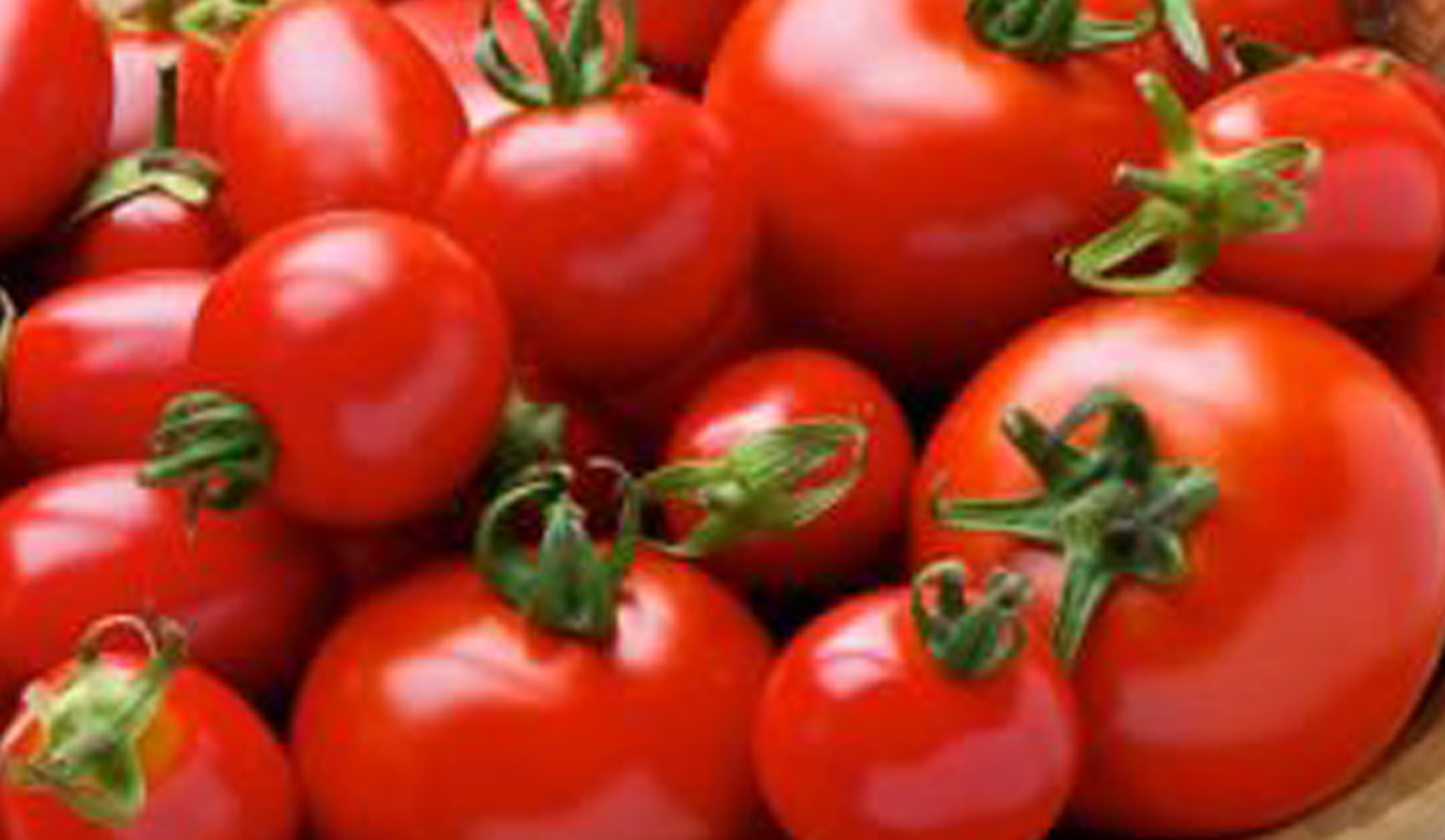 Защо вкусът на доматите вече не е същия