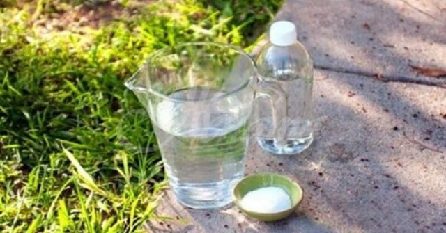 Всичко е много лесно: Оцет + вода + сол = формулата, която изкоренява бурени и треволяк без остатък.