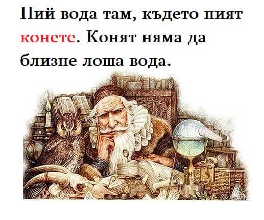 Мъдростта на вековете: 12 безценни съвети от нашите предци
