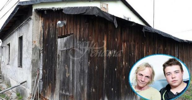 Мартин е сирак и с баба му едва свързват двата края, но късметът им се усмихна и старата къща се превърна в бижу