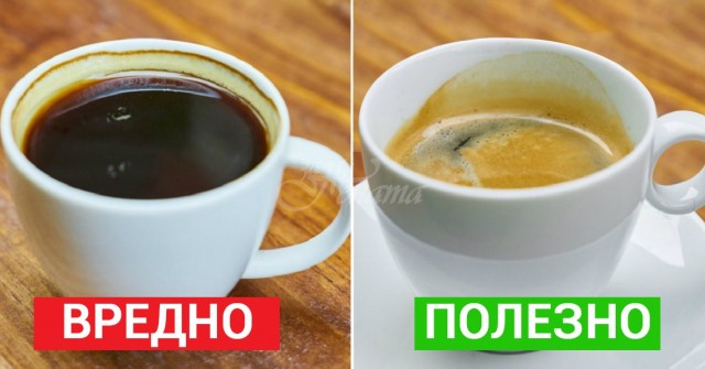 7 важни факта, които всеки, който пие кафе трябва да знае