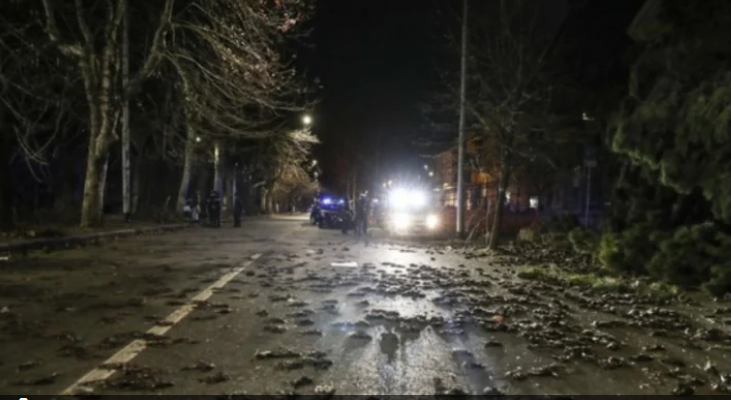 Какво се случва!? В цяла Европа от небето падат мъртви птици СНИМКИ