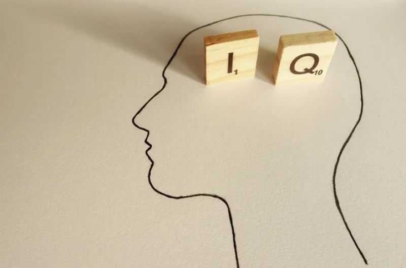 Кратък IQ тест. Ще отговорите ли на 3-те въпроса?
