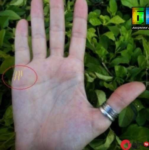 КАРТА НА РЪКАТА разкрива с точност колко и какви деца ще имате – ВИЖТЕ!