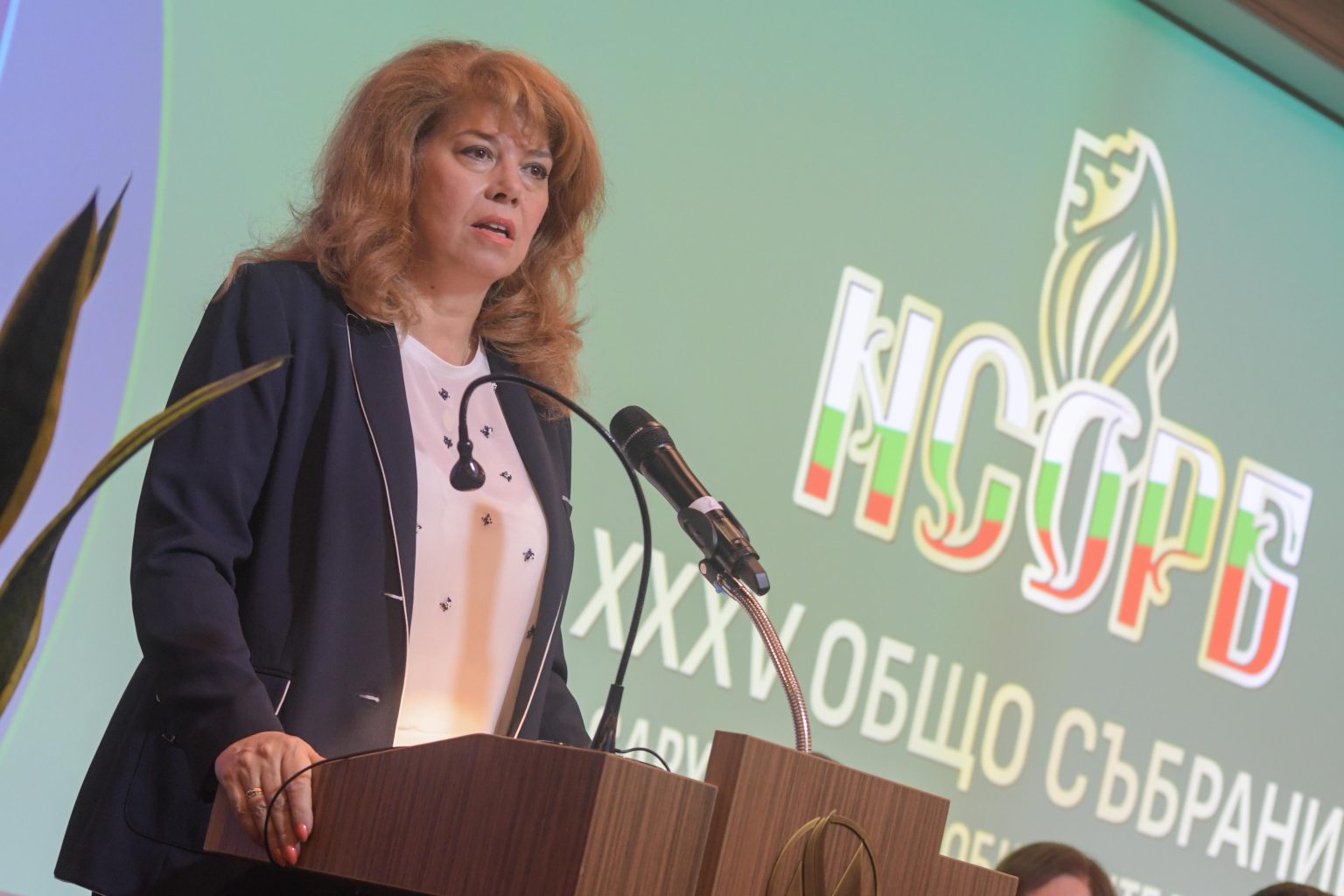 Илияна Йотова сензационно: Може да има кабинет още с първия мандат! Така се вкарват голове
