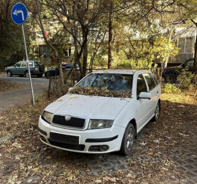 Нов вид далавера: Сваляш си номерата и паркираш без грижи