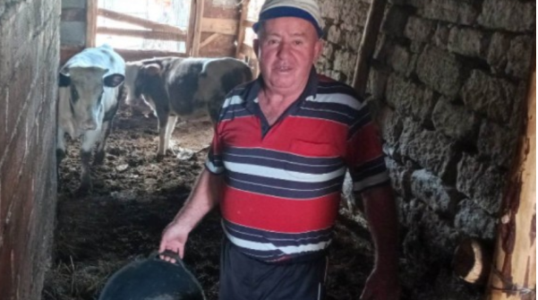 Животновъд: За 1 кг сирене са нужни 5 л мляко, реалната му цена, с печалбата заедно, е десетина лева