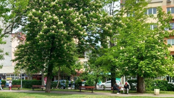 Колко време трябва да си работил във фирмата, за да получиш достойно обезщетение при пенсиониране?
