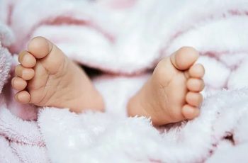 Демографска зима: България губи близо 50 000 души годишно